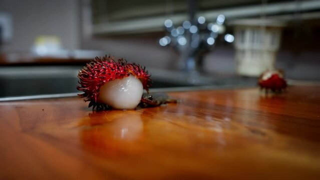 Curious lizard walks around licking rambutan fruit left on countertop
