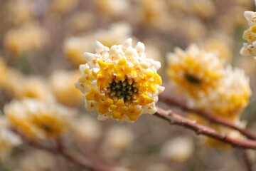 浜松フラワーパークにて３