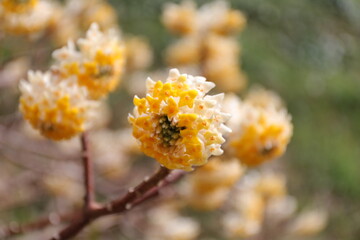 浜松フラワーパークにて６