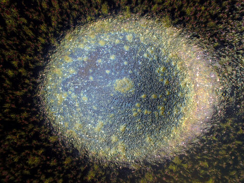 Textured background of microscopic glaze of Chinese ceramics tea cup