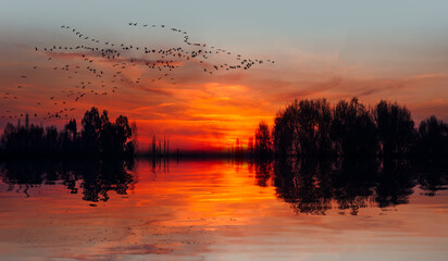 A migrating flock of geese flying in V-formation across a lake at sunset sky.