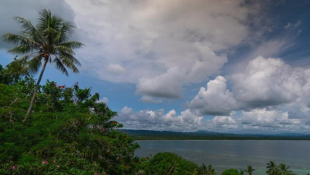 Tropica coconut palm treel tide South Pacific Ccean bay Wewak East Sepik River Province capital district Papua New Guinea Timelapse clouds sunshine sunny daytime Tropical islands Madang Northern Coast