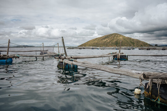 fish farm 