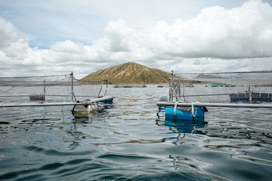 fish farm 