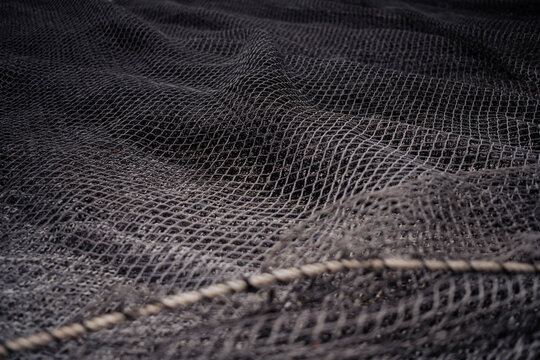 balck fish net