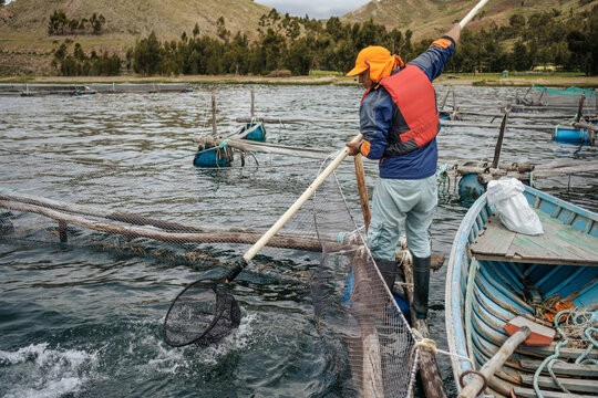 worker in a fish farm