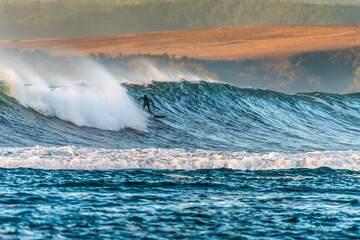 Naklejka premium Surf