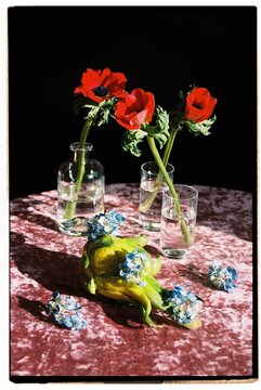 Still life art with daffodils and pitahaya.