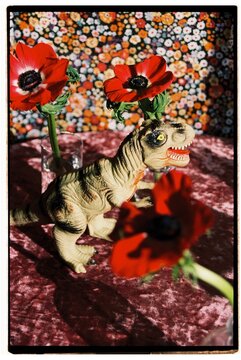A toy tyrannosaurus and red anemones.