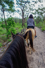 view riding on horse in line through a forest, pov. Mane, horsehair