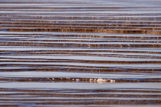 Hot Spring Terraces
