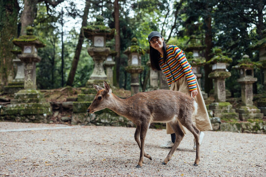 Friendly Encounter Between Visitor and Deer at a Shrine