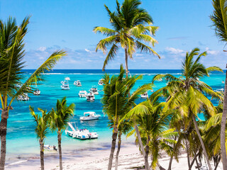 Aerial view through the green palm trees of many anchored yachts and tourist boats in the turquoise...