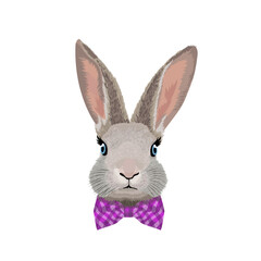 Portrait of a blue-eyed rabbit with a pink checkered butterfly