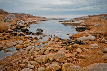 Fototapeta premium Rocky Shore of Ocean Cove at Low Tide
