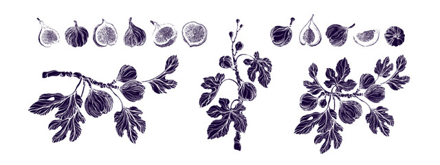 Figs grunge texture collection. Art drawn imprint