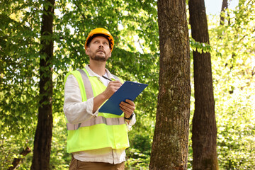 Forester in hard hat with clipboard examining plants in forest