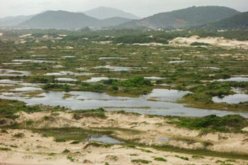 Dunes of Joaquina, in Florianopolis, Santa Catarina, Brazil