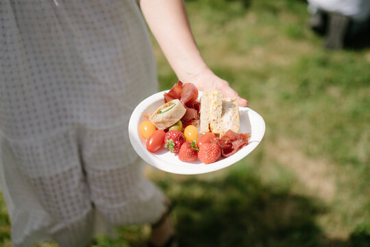 Plate with different snacks on picnic
