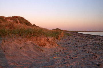 Dünen am Strand Danzigmann bei Sonnenaufgang, Læsø, Nordjütland, Dänemark