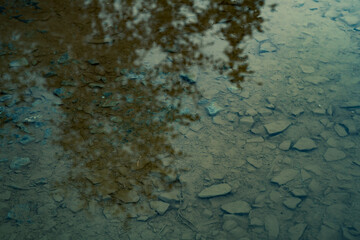 water mirror trees wall texture