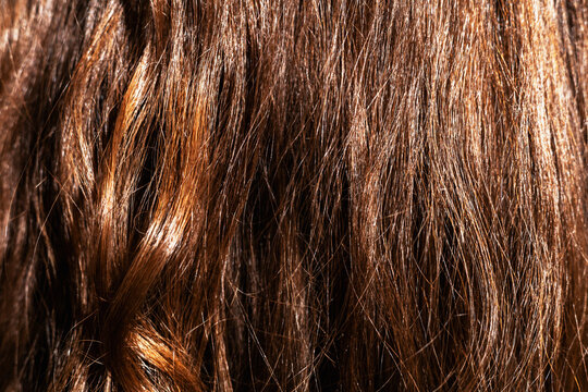 Close-up of Texture Brown Hair