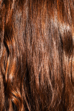 Gleaming Textures of Auburn Hair