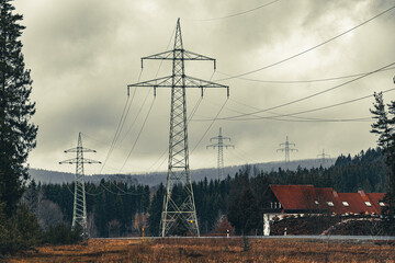 power lines in the forest