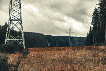 Fototapeta premium power lines in the forest