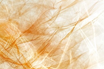 Autumn abstract background with organic lines and textures, soft earthy tones, (close up, focus on), white background, ethereal, Overlay, nature-inspired design backdrop