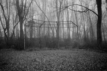 Derelict backstop against a foggy forest
