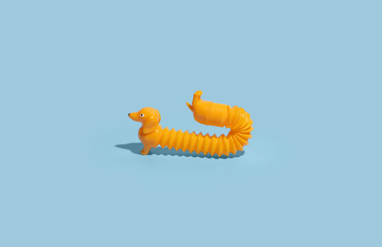 Accordion Dog Toy