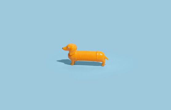Accordion Dog Toy