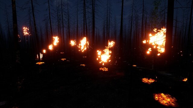 Forest fire