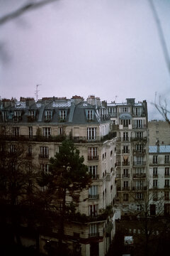 Paris Rooftop View