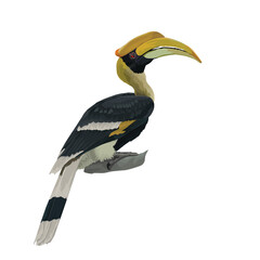 Vector design of Great Hornbill perch on a branch