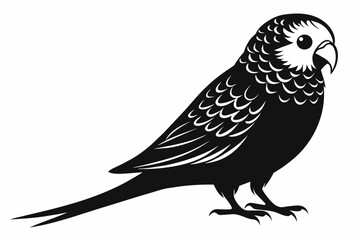 A budgerigar bird silhouette black vector artwork illustration