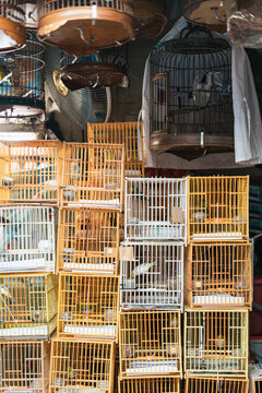 Hong Kong Bird Market