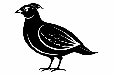  A beautiful quail bird silhouette black vector artwork illustration 