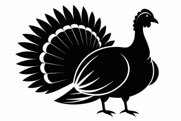  A beautiful turkey bird silhouette black vector artwork illustration