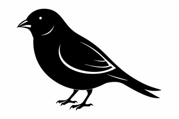 Fototapeta premium A canary bird silhouette black vector artwork illustration 