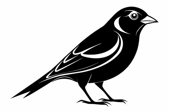 A finch bird silhouette black vector artwork illustration