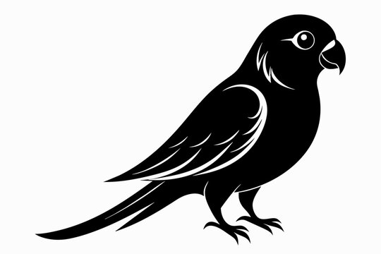 recommend clip art: A parakeet bird silhouette black vector artwork illustration