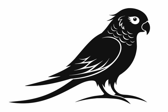 recommend clip art: A parakeet bird silhouette black vector artwork illustration