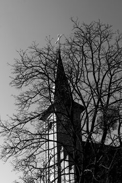 Spire of the Catholic church through the branches of a tree