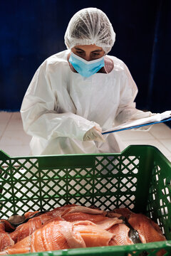 Woman in White Uniform Conducting Control at Fish Processing Plant