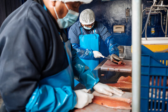 Small scale fish processing factory