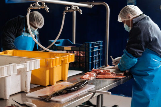 Small scale fish processing factory