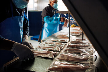 Employees Packing fish fillets