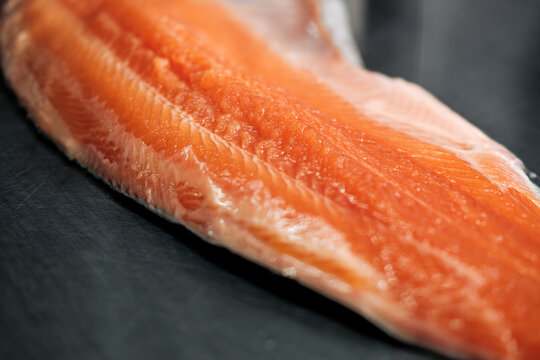 fresh fillet of raw red fish